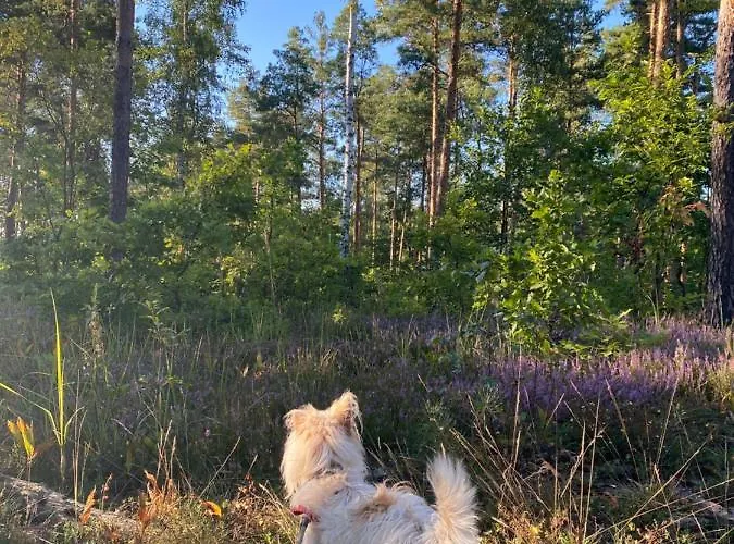 Сasa de vacaciones Miedzy Falami Łazy